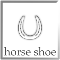 horse shoe